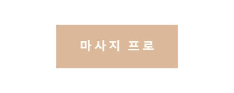 마사지프로-접속불가